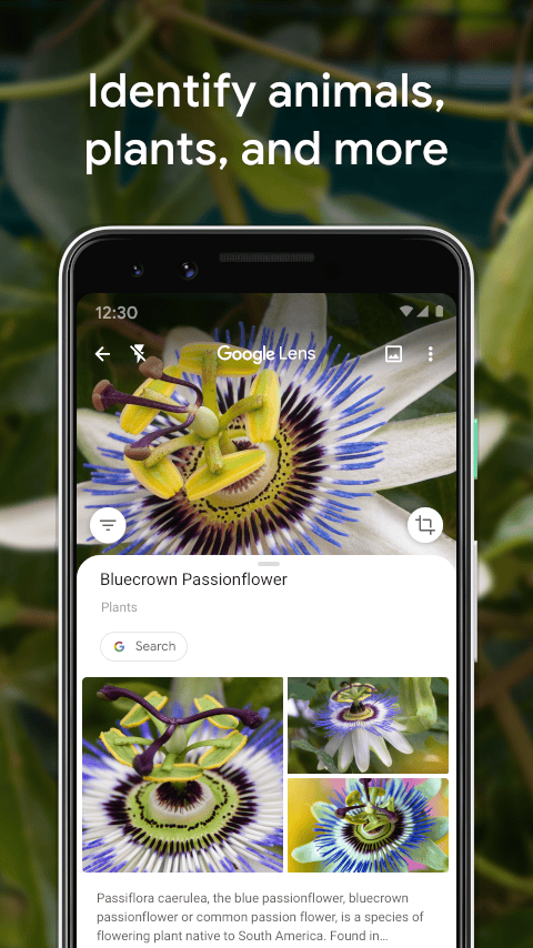 دانلود گوگل لنز آنلاین Google Lens 1.15.22 برای اندروید