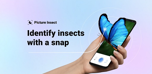 https://appnab.ir/wp-content/uploads/2023/03/picture-insect-cover.jpg