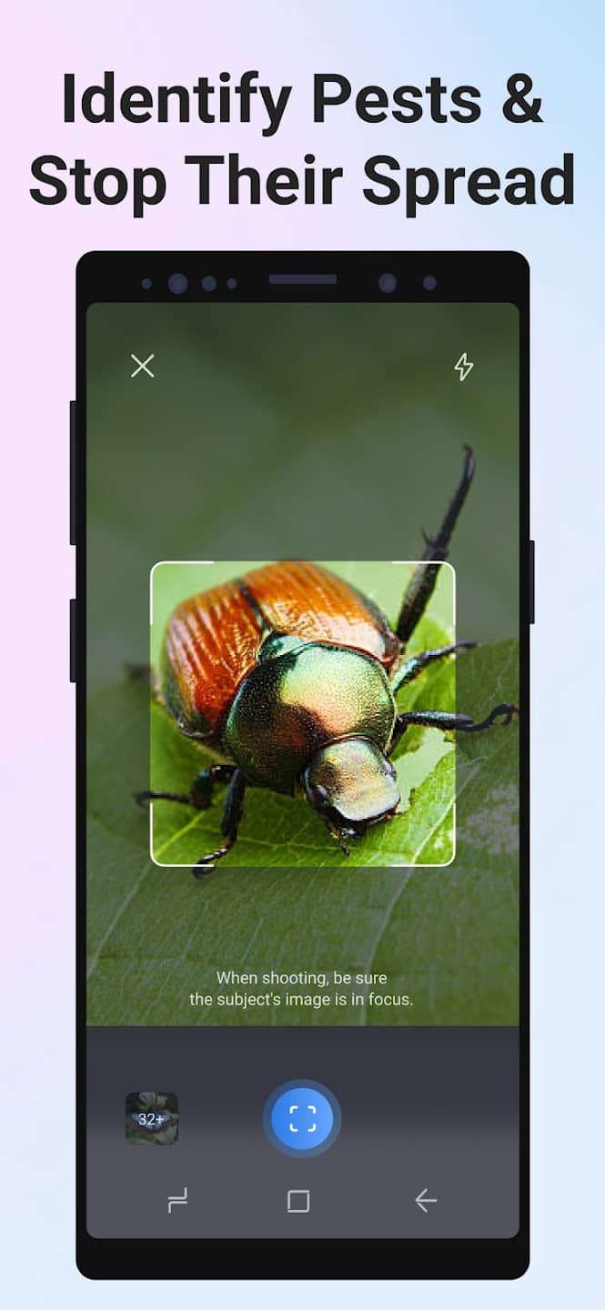 دانلود برنامه شناسایی حشرات Picture Insect 2.8.25 برای اندروید