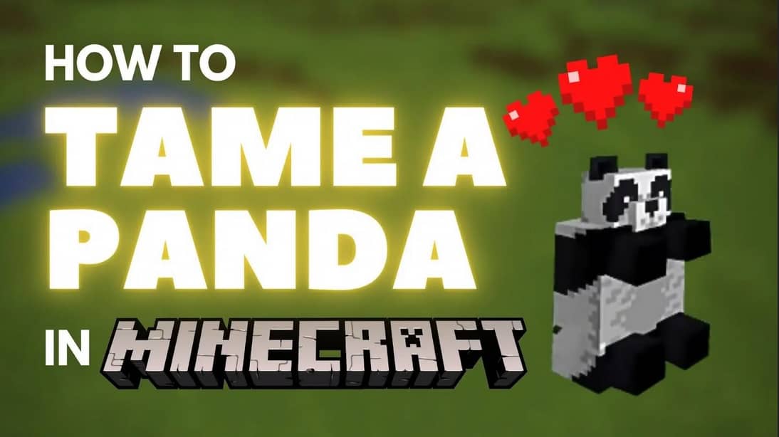 https://appnab.ir/wp-content/uploads/2023/07/how-to-tame-a-panda-in-minecraft-cover.jpg