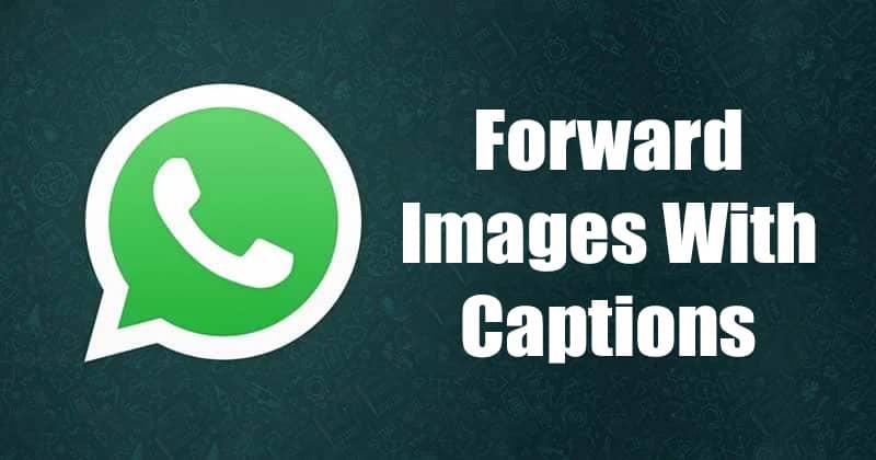 https://appnab.ir/wp-content/uploads/2023/08/how-to-forward-images-with-captions-on-whatsapp-cover.jpg