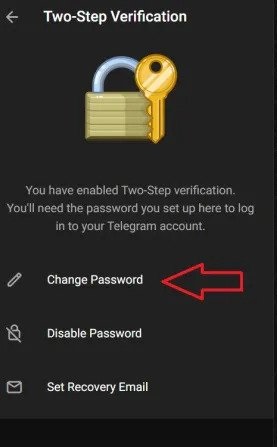 https://appnab.ir/wp-content/uploads/2023/09/how-to-enable-two-factor-verification-on-telegram-4.jpg
