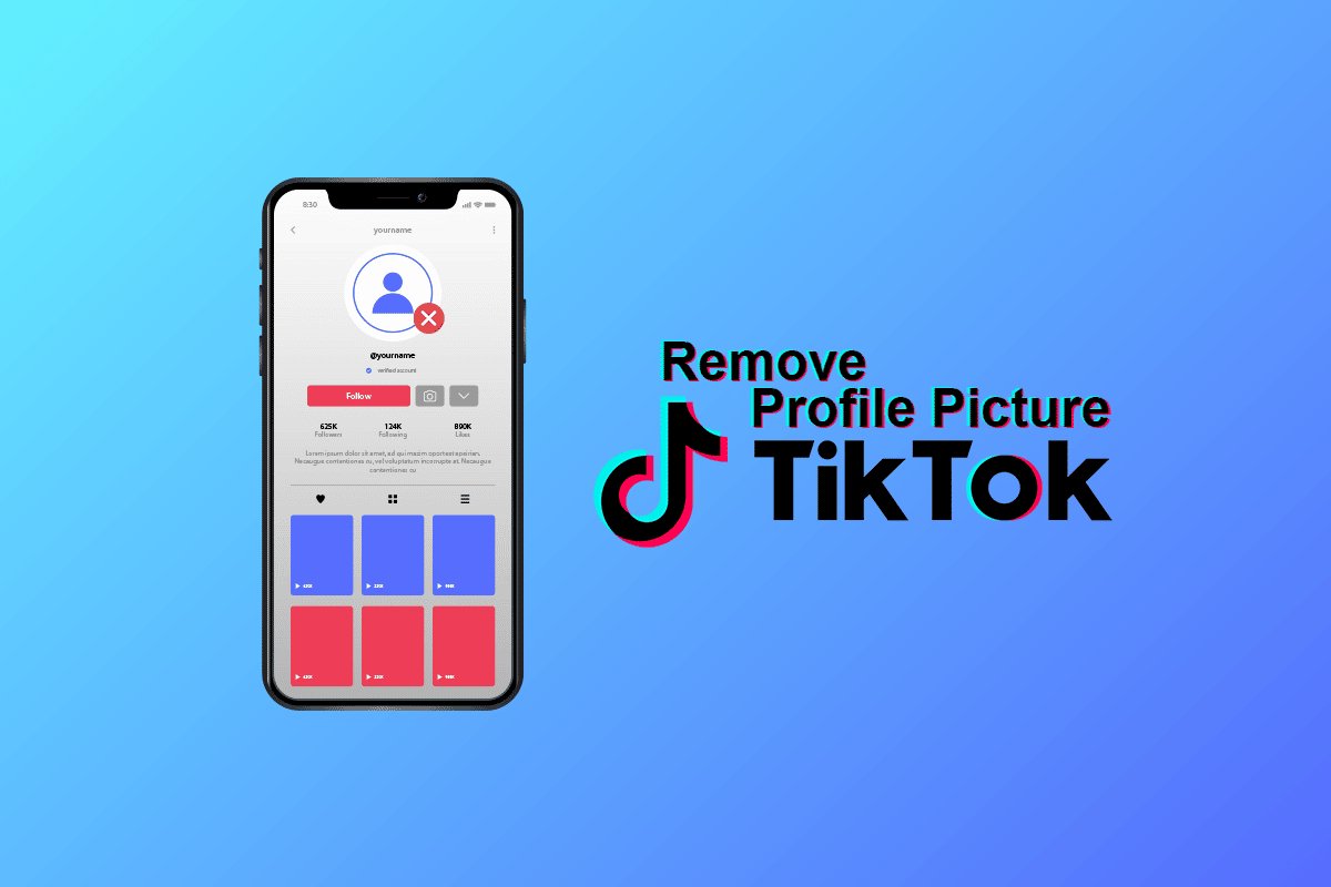 https://appnab.ir/wp-content/uploads/2023/09/how-to-remove-tiktok-profile-picture-cover.jpg