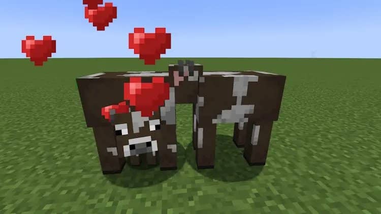 https://appnab.ir/wp-content/uploads/2023/10/how-to-breed-cows-in-minecraft-4.jpg