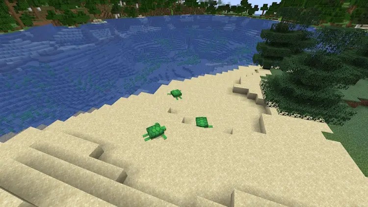 https://appnab.ir/wp-content/uploads/2024/01/how-to-breed-turtles-in-minecraft-2.jpg