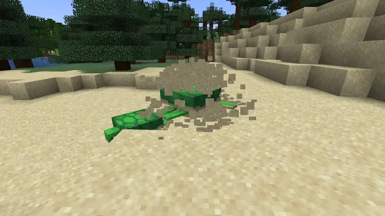 https://appnab.ir/wp-content/uploads/2024/01/how-to-breed-turtles-in-minecraft-3.jpg