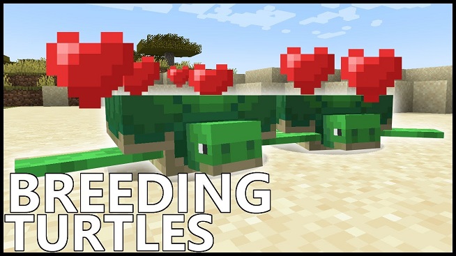 https://appnab.ir/wp-content/uploads/2024/01/how-to-breed-turtles-in-minecraft-cover.jpg