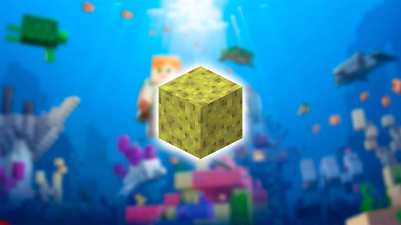 https://appnab.ir/wp-content/uploads/2024/01/how-to-get-sponges-in-minecraft-cover.jpg