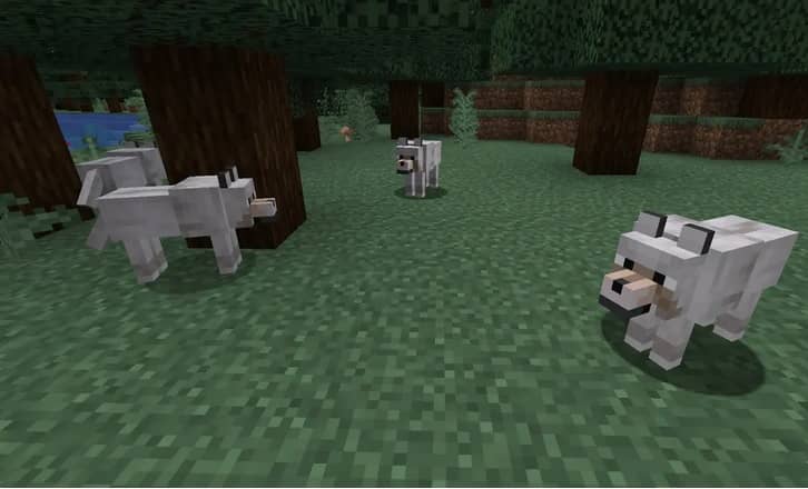 https://appnab.ir/wp-content/uploads/2024/03/all-types-of-wolves-in-minecraft-1.jpg