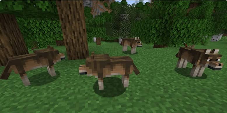https://appnab.ir/wp-content/uploads/2024/03/all-types-of-wolves-in-minecraft-2.jpg