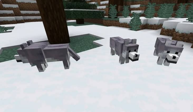 https://appnab.ir/wp-content/uploads/2024/03/all-types-of-wolves-in-minecraft-3.jpg