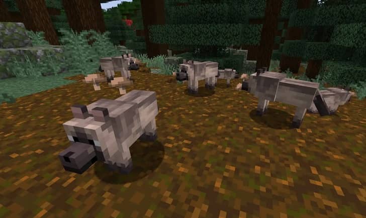 https://appnab.ir/wp-content/uploads/2024/03/all-types-of-wolves-in-minecraft-5.jpg