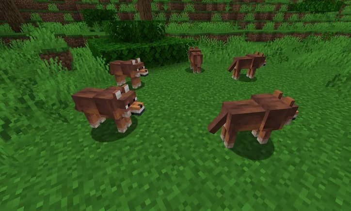 https://appnab.ir/wp-content/uploads/2024/03/all-types-of-wolves-in-minecraft-6.jpg