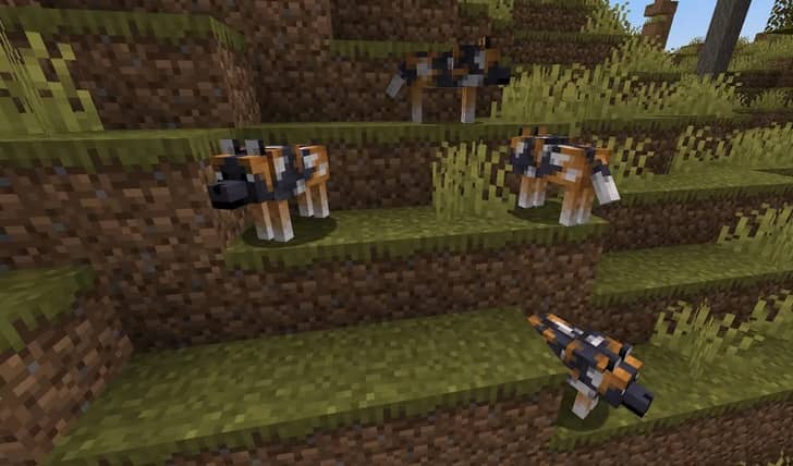 https://appnab.ir/wp-content/uploads/2024/03/all-types-of-wolves-in-minecraft-7.jpg