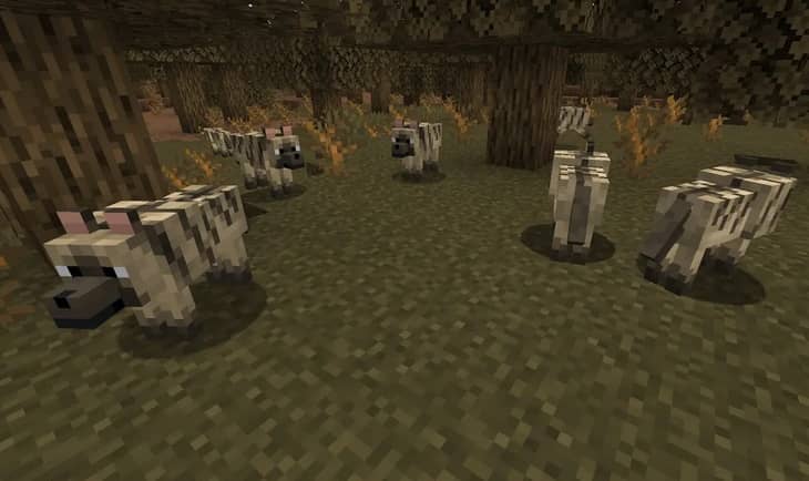 https://appnab.ir/wp-content/uploads/2024/03/all-types-of-wolves-in-minecraft-8.jpg