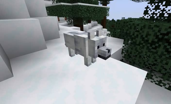 https://appnab.ir/wp-content/uploads/2024/03/all-types-of-wolves-in-minecraft-9.jpg